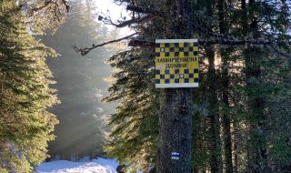 Слънчева и топла сряда