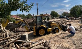 Земеделският министър с подробности за недостига на дърва за огрев