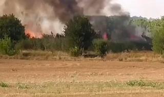 Пламна нов пожар край Хасково