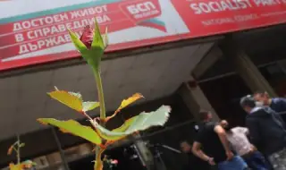 Депутати, министри и младежи от БСП в помощ на зрелостниците по време на транспортната криза в София