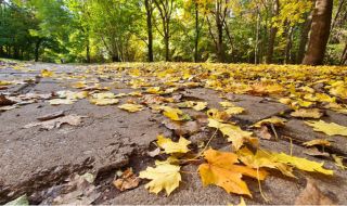 Времето днес, прогноза за понеделник, 16 октомври: Нахлува студен въздух, очакват се валежи
