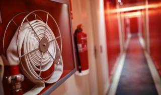 Обвиниха птици за пожар в САЩ