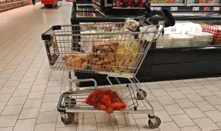 From today, the Consumer Protection Commission begins inspections in retail chains