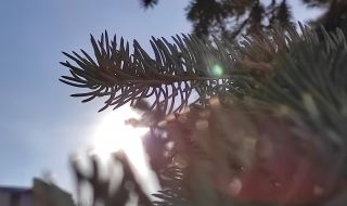 Слънчево начало на седмицата, температурите скачат