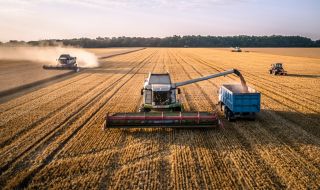 Доходът в селското стопанство скочи с над 35% за година