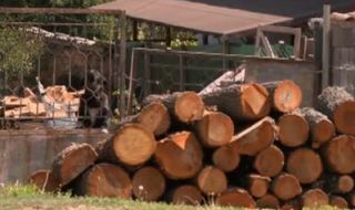 Продължава поскъпването на дървата за огрев в цялата страна