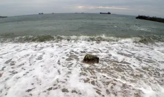 Fish with microplastics on the table, the Black Sea is massively polluted 
