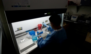 Нови данни за вируса Зика