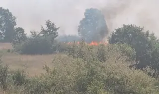 Пожарът във Воден е овладян