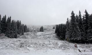 Струпване на хора на Витоша в празничната нощ