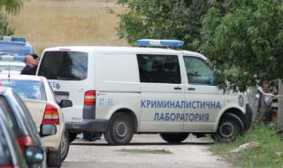 Жестоко убийство на възрастна жена в софийското село Петрич