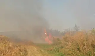 Овладяха пожара в Пазарджишко