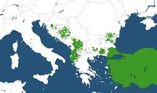 Кръв и вяра на Балканите: Къде живеят анадолските турци и кои са ислямизираните християни?