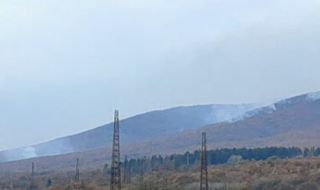 Още не е овладян пожарът над военния полигон "Ново село"