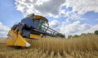 Зърното поскъпва на световните пазари