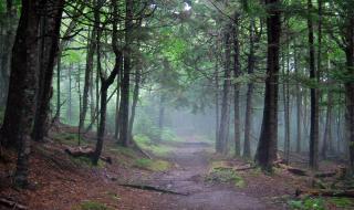 Земята диша в страховито ВИДЕО