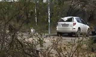 След инцидента с падналото дърво, затиснало жена и дете в кола: Виновен е вятърът