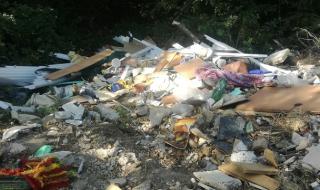 Стимулират столичани да събират разделно с безплатни контейнери