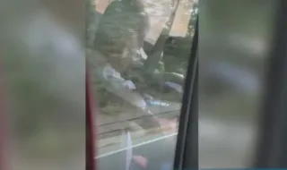 Заснеха шофьор да гледа порно зад волана на автобус