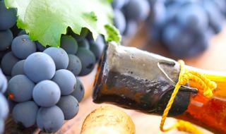 Намериха следи от най-старото вино в света