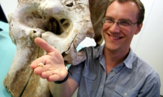 Мишката ставала слон след 24 млн. поколения