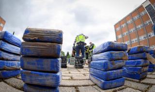 В Хамбург откриха 1,8 тона кокаин в смес за котешки тоалетни