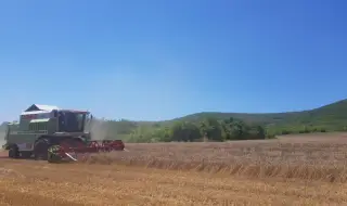Земеделският министър открива жътвената кампания от Златитрап