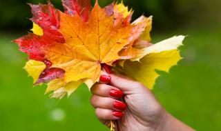 Притча: Още колко остава?