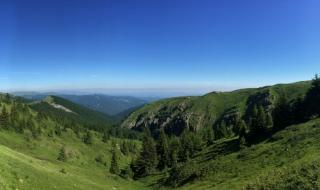 Глиган нападна турист в Централен Балкан