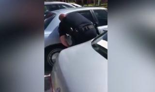 Полицай спаси куче, заключено в кола (ВИДЕО)