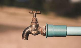 4 перничани в болница заради ешерихия коли