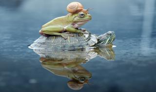 Притча за силата на насърчението