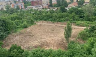 Борис Цветков: Защо СО разреши изсичане на гора в "Овча купел"