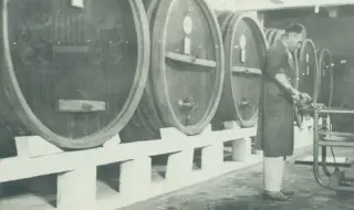 „Мечата кръв“ на социализма  СНИМКИ