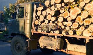 Полицаи иззеха 54 кубика дърва от бракониери в Монтанско