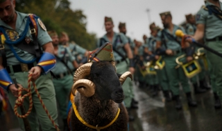 12 октомври: Светът в снимки
