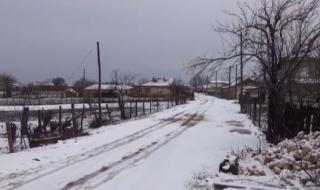 В средата на зимата: Десетки семейства в Дуловско останаха без дърва за огрев