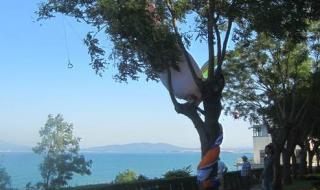 Парапланер падна в Морската градина в Бургас