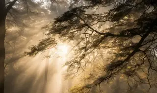 Времето днес, прогноза за събота, 15 ноември: Слънчево. Мъгла в Дунавската равнина и край реките на юг