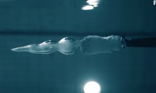 Човек срещу куршум (ВИДЕО)