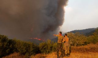 Опожарената територия край Александруполис е най-голямата в Европа от години