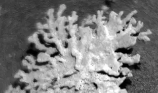 Марсоходът Curiosity откри „корал“ на Марс на милиарди години
