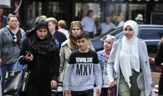 How many people with immigrant roots are there in Germany 