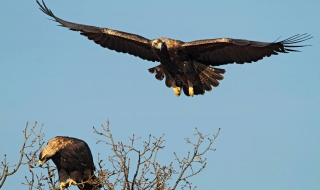 Български проект е носител на награда „Натура 2000“