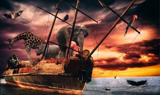 11 неща, които научих от Ноевия ковчег