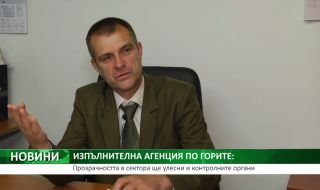 Инж. Филип Ковашки: Откраднатата дървесина отива при най-бедните