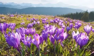 Времето днес, прогноза за вторник, 17 март: Значителна облачност над цялата страна