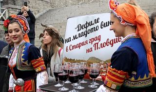 Над 79 000 дегустации на вино, въпреки пандемията (СНИМКИ)