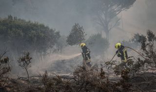 Голям пожар унищожи над 100 хектара гора
