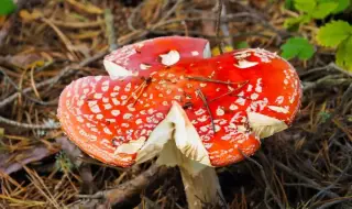 Времето днес, прогноза за сряда, 3 декември: Облачно, слънце само на изток